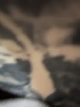 FionaMurr premium - 12/30/2025